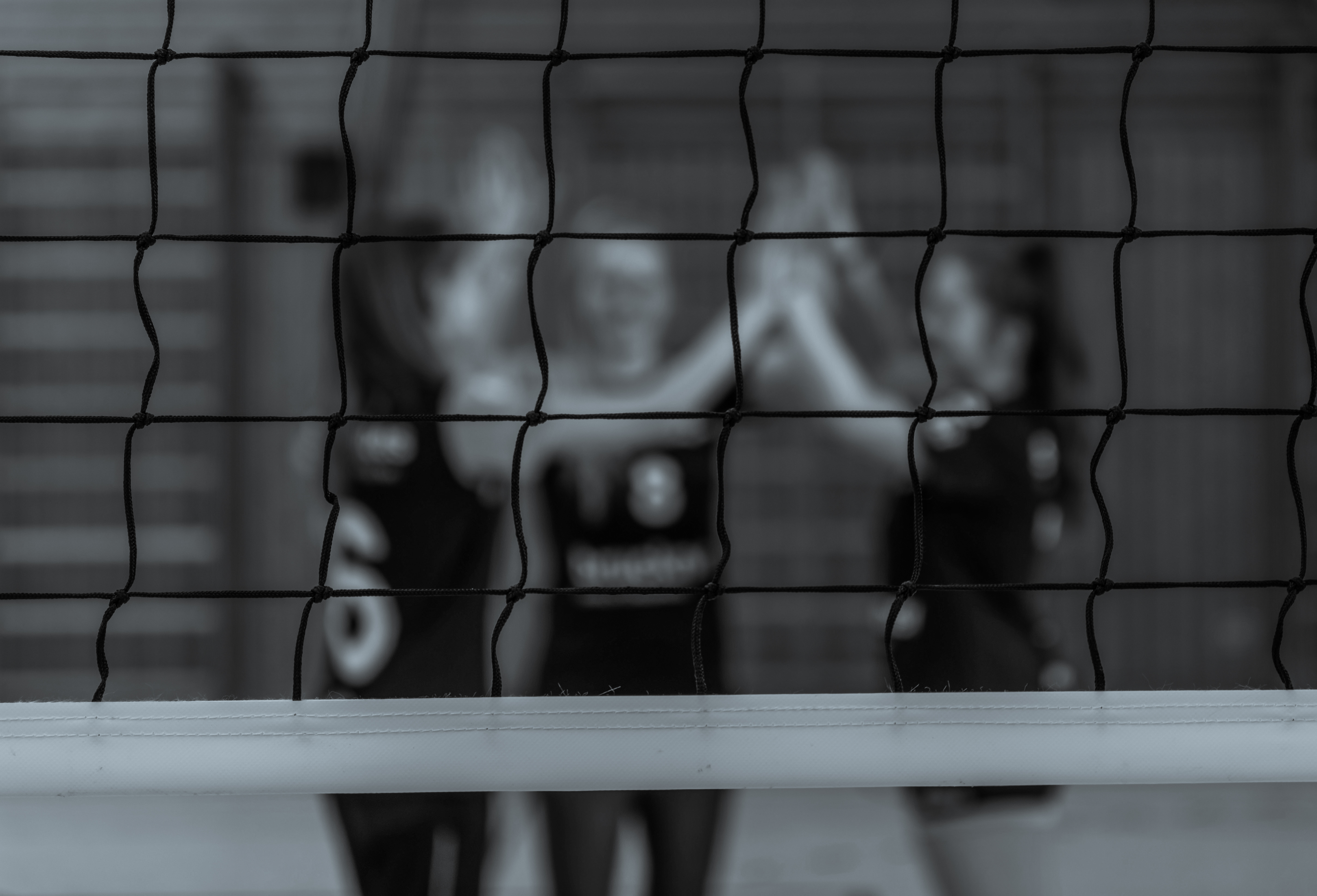 Volleyball_sw_33.jpg
